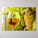 Search for wine grapes posters Bottle