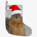 Search for squirrel christmas stockings Cute