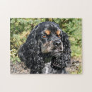 Search for cocker spaniel puzzles Brown