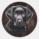 Search for black labs stickers Black lab puppy