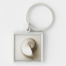 Search for nautilus shell key rings Animal