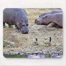 Search for hog electronics Wildlife