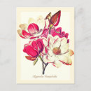 Search for vintage botanical postcards Stylish