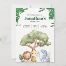 Search for kingdom invitations Wild one