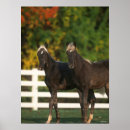 Search for standing together posters Foals