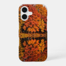 Search for falling water iphone cases Landscape
