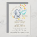 Search for elephant gender reveal Boy or girl