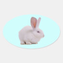 Search for cute bunny rabbit stickers Animal