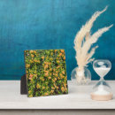 Search for wall plaques Flower
