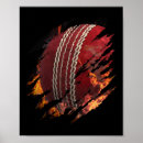 Search for cricket fan posters Cricketer
