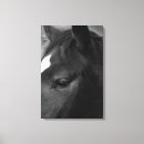 Search for horse canvas prints Portrait