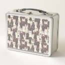 Search for cats lunch boxes Pet