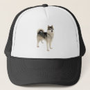 Search for siberian huskies hats Pet