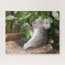 Search for koala puzzles Baby