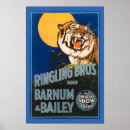 Search for ringling brothers posters Tiger