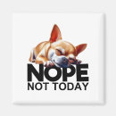 Search for todays magnets Dog