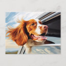 Search for brittany spaniel postcards Puppy