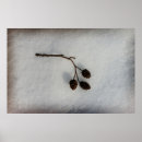 Search for twig posters Brown