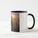 Search for nj shore mugs Cape may