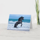 Search for rearing cards Stallion