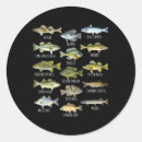 Search for species stickers Freshwater fish