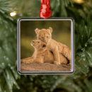 Search for wildcat christmas tree decorations Cute