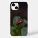 Search for ladybugs cases Flower