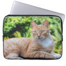 Search for green eyes electronics Fur