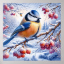 Search for winter bird posters Modern