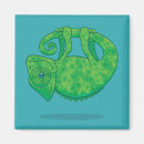 Search for chameleon magnets Green