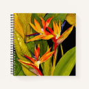 Search for bird of paradise Floral