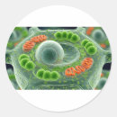 Search for cell stickers Biology