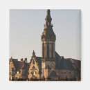 Search for reformed magnets German