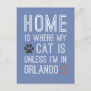 Search for cat lover postcards Cats