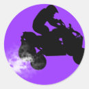 Search for polaris stickers Atv