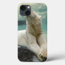 Search for aggressive cases Background