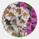 Search for pink butterfly stickers White