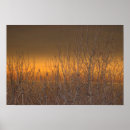 Search for horizon posters Nature