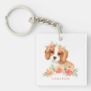 Search for cavalier king charles Dog lover