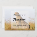 Search for big cat birthday invitations Wildlife