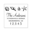 Search for seashells business stationery Modern