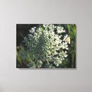 Search for wild butterfly posters Botanical