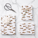 Search for ant wrapping paper Animal
