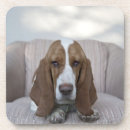 Search for basset barware Animal