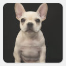 Search for french bulldog puppy stickers Dogs