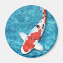 Search for sanke Koi
