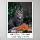 Search for maine coon cat art Kitty