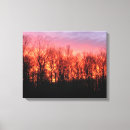 Search for firey Sky
