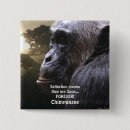 Search for chimp badges Wildlife