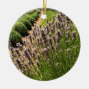 Search for lavender christmas decor Summer